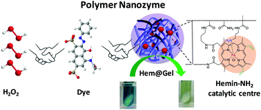 Graphical abstract: Enhancing the peroxidase-mimicking activity of hemin by covalent immobilization in polymer nanogels